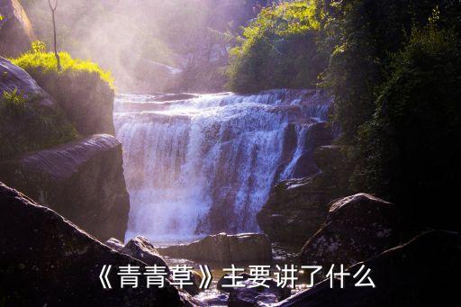 《青青草》主要讲了什么