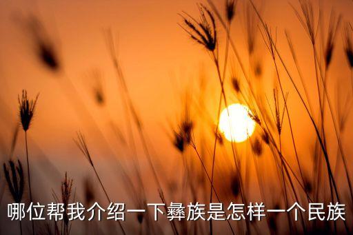 哪位帮我介绍一下彝族是怎样一个民族