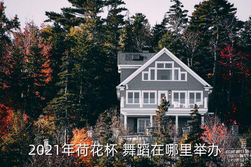 北京舞蹈学院教授都有谁,刘建北京舞蹈学院教授