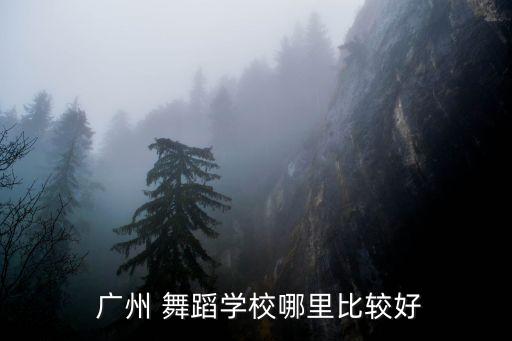  广州 舞蹈学校哪里比较好