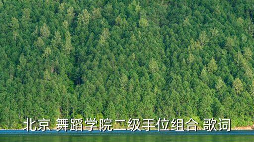 北京 舞蹈学院二级手位组合 歌词