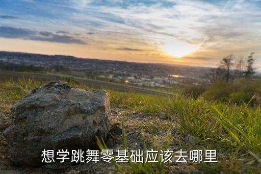 想学跳舞零基础应该去哪里