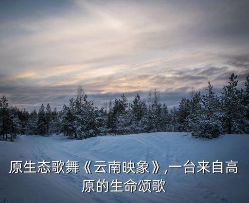 原生态歌舞《云南映象》,一台来自高原的生命颂歌