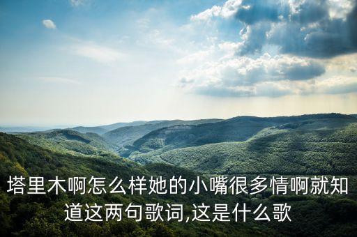 塔里木啊怎么样她的小嘴很多情啊就知道这两句歌词,这是什么歌