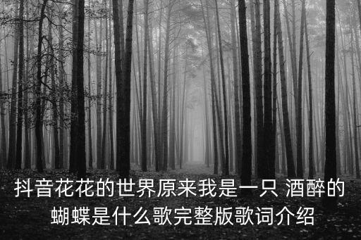 抖音花花的世界原来我是一只 酒醉的 蝴蝶是什么歌完整版歌词介绍