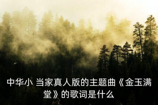 中华小 当家真人版的主题曲《金玉满堂》的歌词是什么