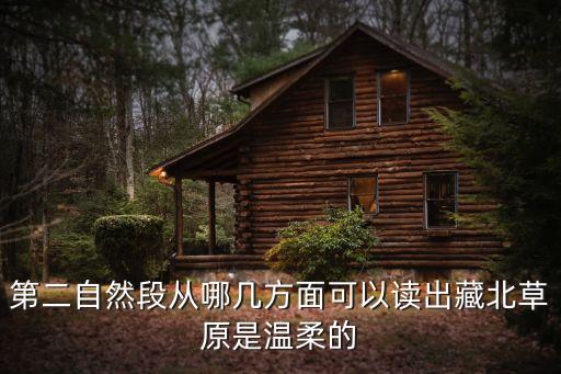 藏族舞蹈牧羊姑娘mp3下载
