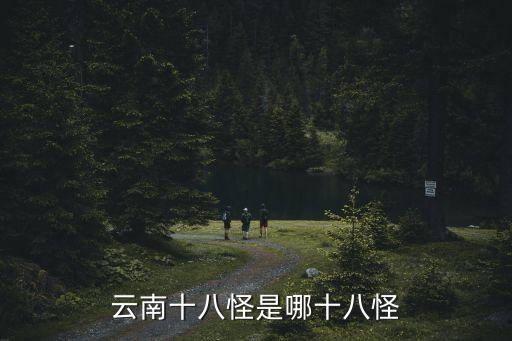 云南十八怪是哪十八怪