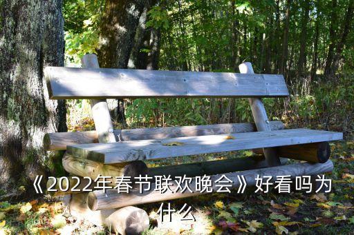 《2022年春节联欢晚会》好看吗为什么