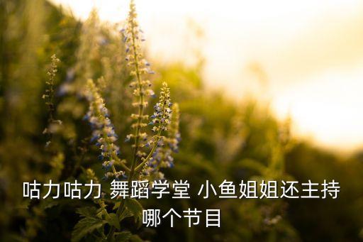 咕力咕力 舞蹈学堂 小鱼姐姐还主持哪个节目