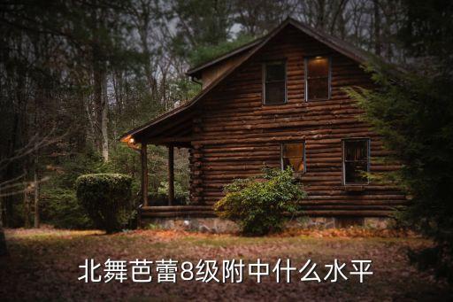 北舞芭蕾8级附中什么水平