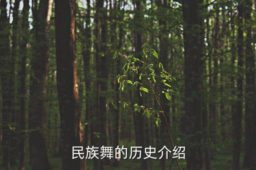 民族舞的历史介绍