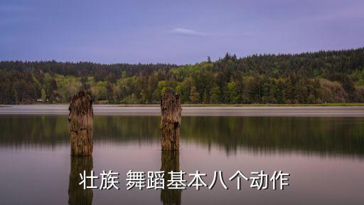  壮族 舞蹈基本八个动作