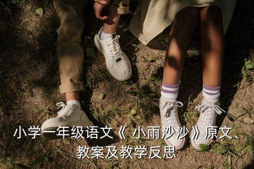 小学一年级语文《 小雨沙沙》原文、教案及教学反思