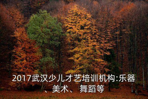 2017武汉少儿才艺培训机构:乐器、美术、 舞蹈等