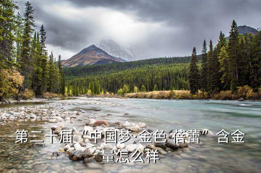 第二十届“中国梦·金色 蓓蕾”含金量怎么样