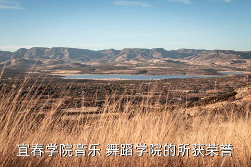 舞大赛一等奖舞蹈天边,天边广场舞一等奖