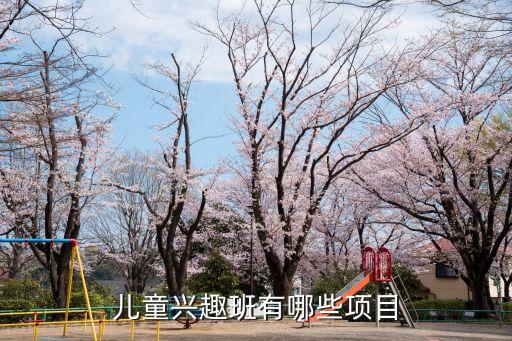 儿童兴趣班有哪些项目