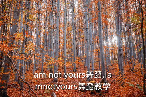 i am not yours舞蹈,iamnotyours舞蹈教学