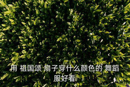 舞蹈祖国颂扇子舞分解动作,祖国颂舞蹈视频扇子舞