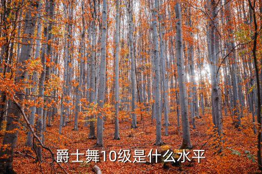 十级考级舞蹈的日常,中国舞十级舞蹈考级视频全部