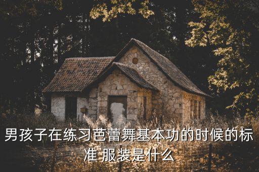舞蹈服装练功服,舞之恋舞蹈服装练功服