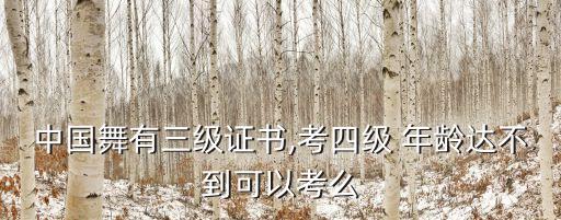 中国舞有三级证书,考四级 年龄达不到可以考么