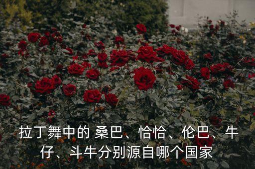  拉丁舞中的 桑巴、恰恰、伦巴、牛仔、斗牛分别源自哪个国家