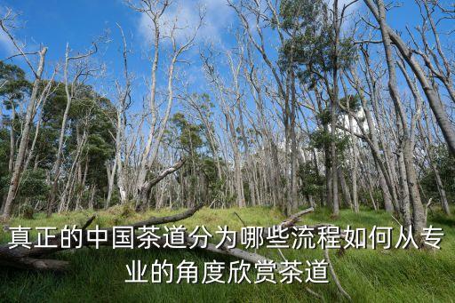 真正的中国茶道分为哪些流程如何从专业的角度欣赏茶道
