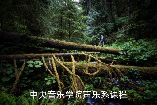中央音乐学院声乐系课程