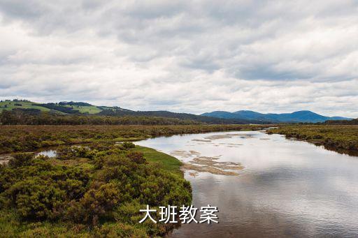 大班教案