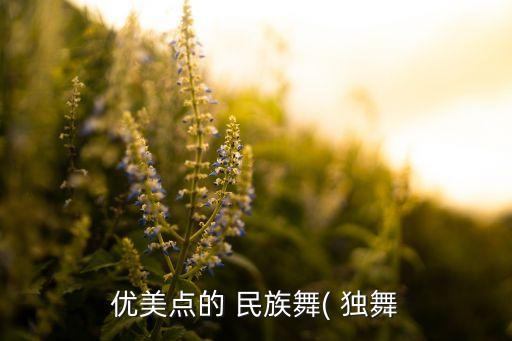 优美点的 民族舞( 独舞