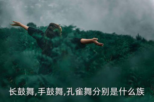 长鼓舞,手鼓舞,孔雀舞分别是什么族