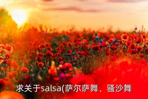 求关于salsa(萨尔萨舞、骚沙舞