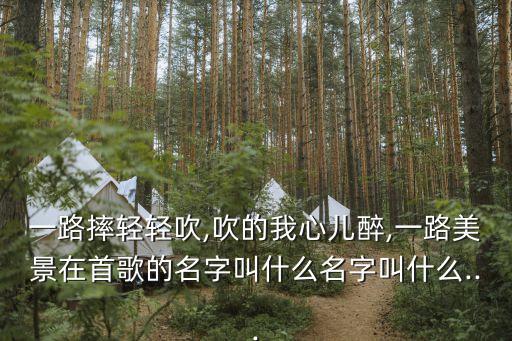 一路摔轻轻吹,吹的我心儿醉,一路美景在首歌的名字叫什么名字叫什么...