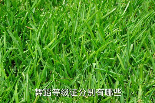  舞蹈等级证分别有哪些