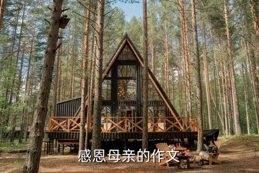 感恩母亲的作文