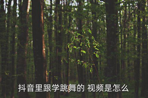抖音里跟学跳舞的 视频是怎么