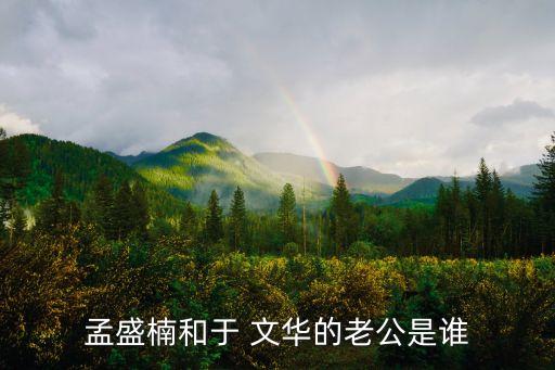 孟盛楠和于 文华的老公是谁