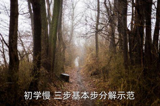 初学慢 三步基本步分解示范