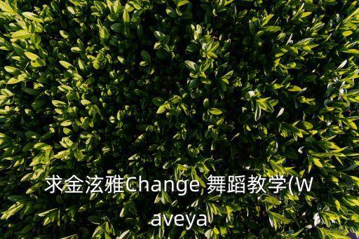 求金泫雅Change 舞蹈教学(Waveya