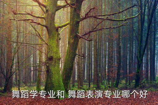  舞蹈学专业和 舞蹈表演专业哪个好