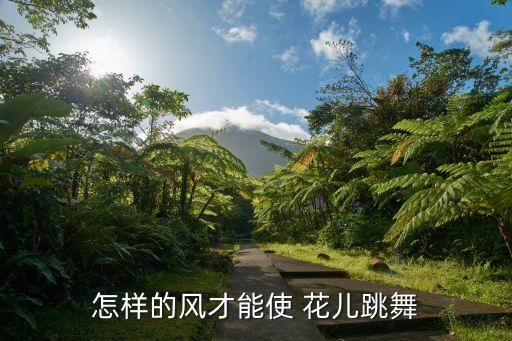 怎样的风才能使 花儿跳舞