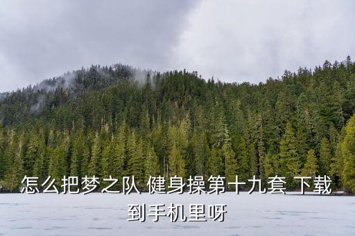 怎么把梦之队 健身操第十九套 下载到手机里呀