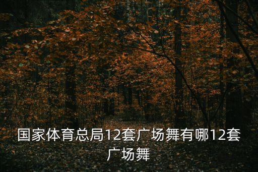 中国美舞蹈版,舞蹈中国美一等奖