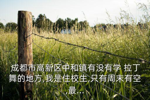 成都市高新区中和镇有没有学 拉丁舞的地方,我是住校生,只有周末有空,最...
