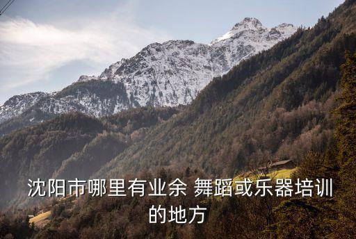  沈阳市哪里有业余 舞蹈或乐器培训的地方