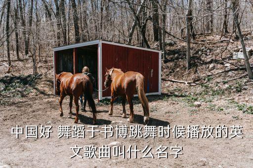 历届中国好舞蹈音乐,中国舞蹈音乐ppt