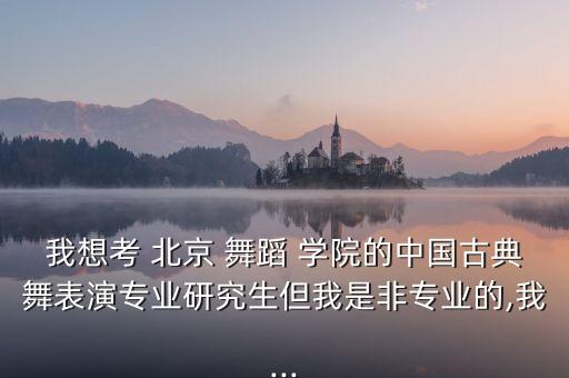 北京舞蹈学院王伟论文
