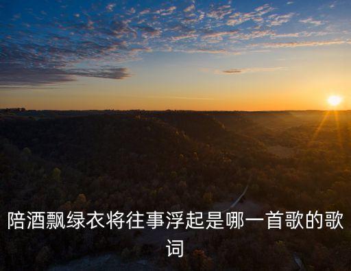 陪酒飘绿衣将往事浮起是哪一首歌的歌词